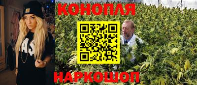 гидра Владивосток