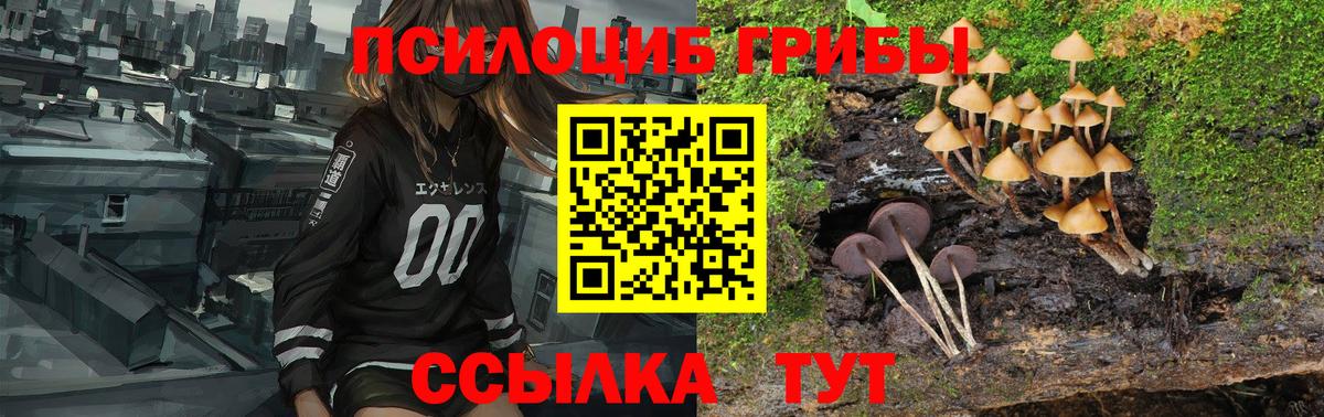 Галлюциногенные грибы Psilocybe  Вход с VPN  Йошкар-Ола  Галлюциногенные грибы Psilocybe 